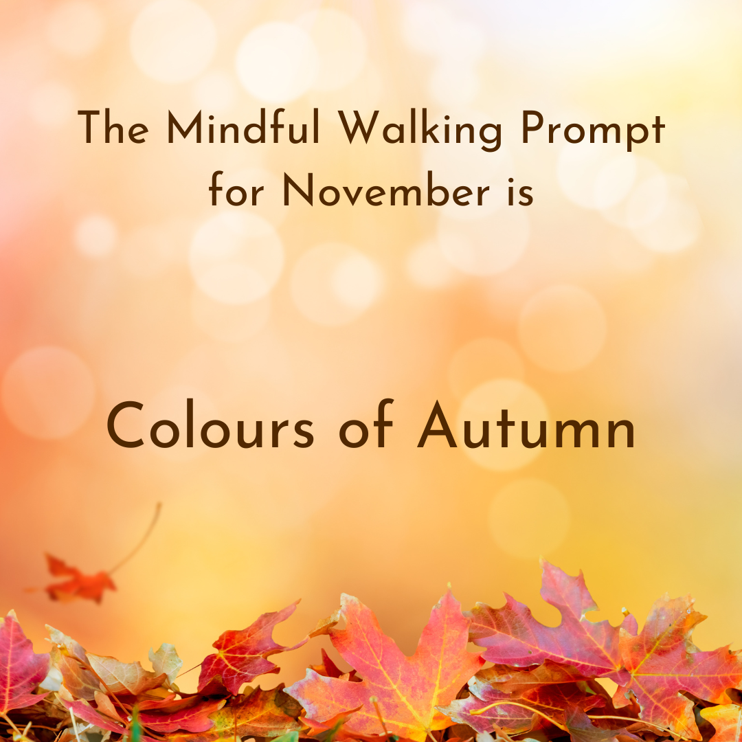 mindful-walking-nov22