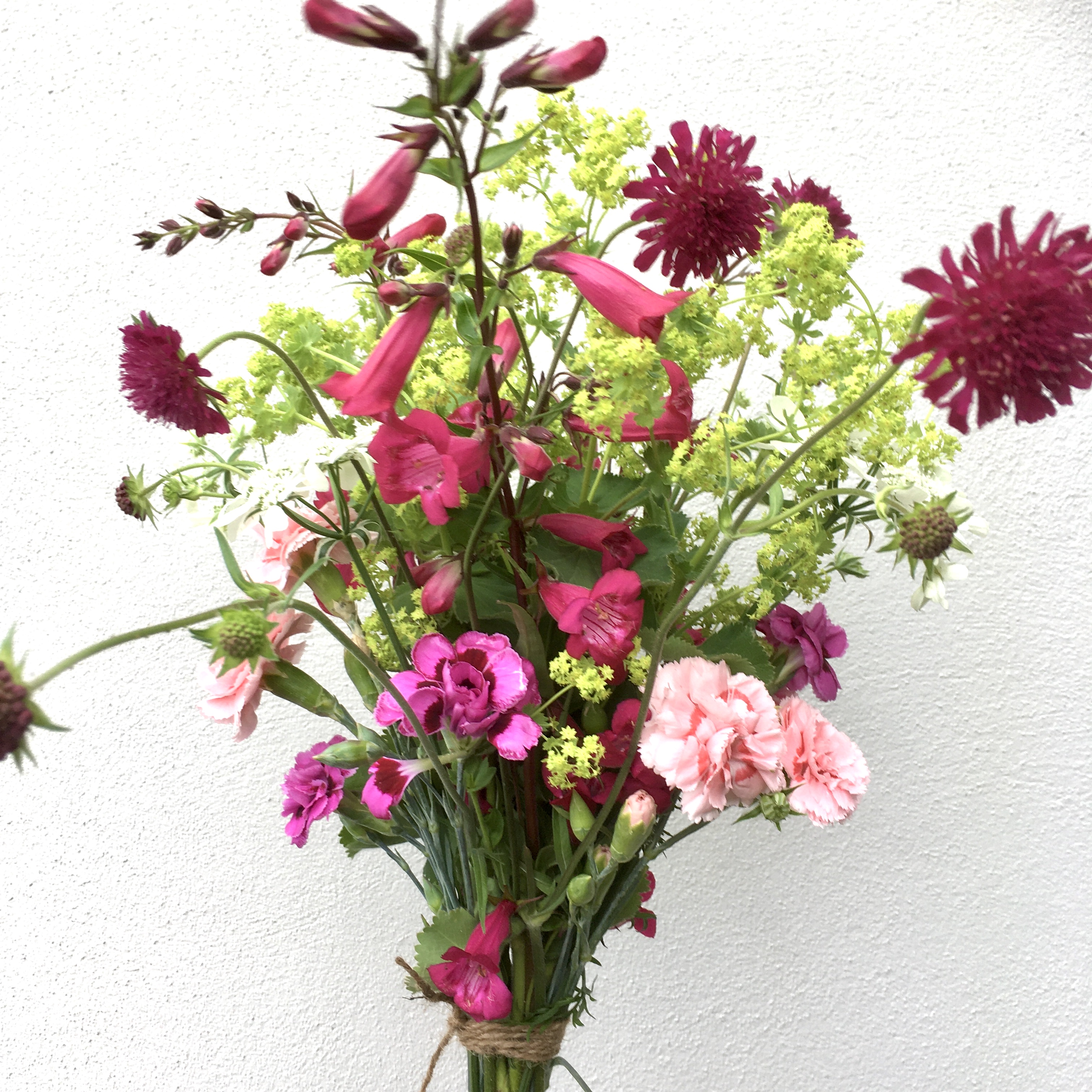 monday-21st-june-summer-solstice-salad-and-stoats